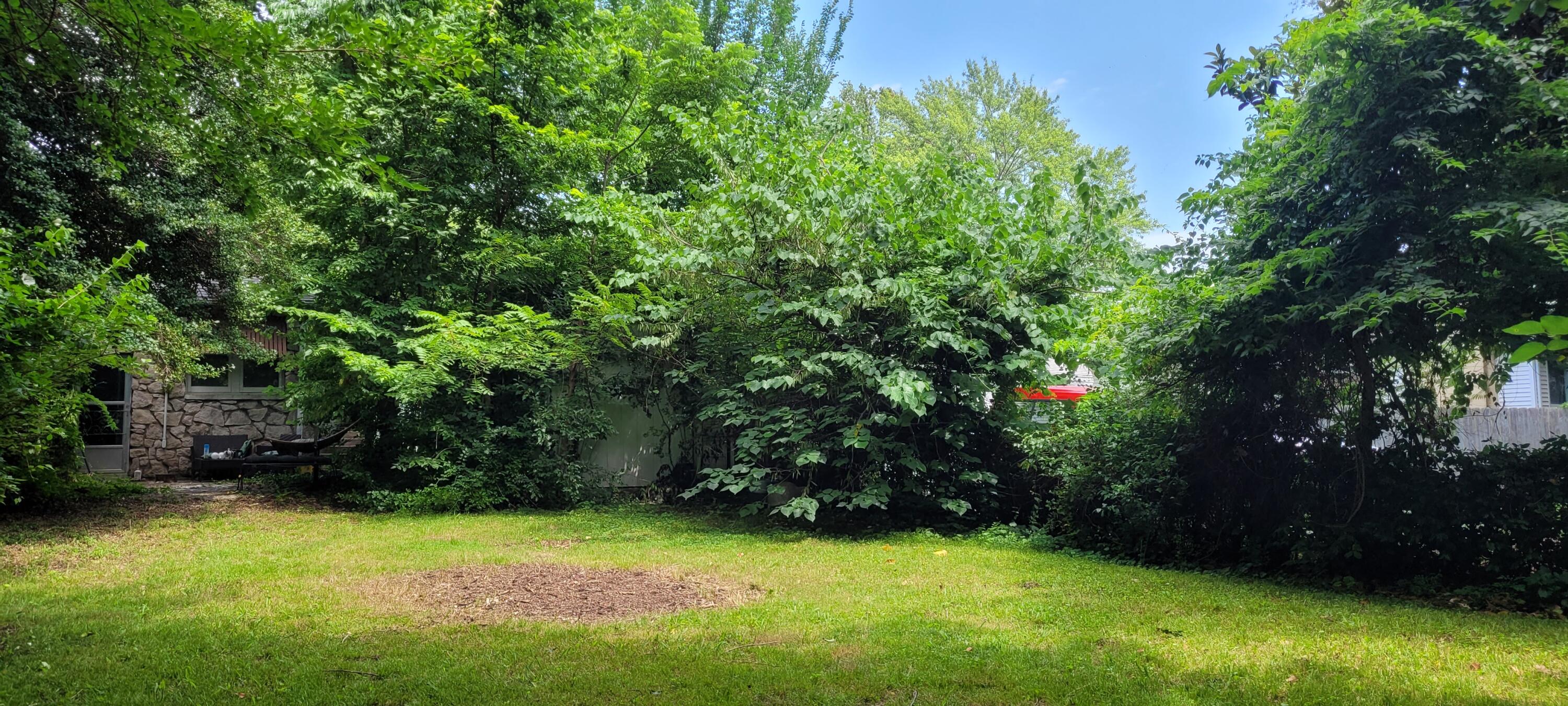 1305 South Kimbrough Avenue Property Photo 7