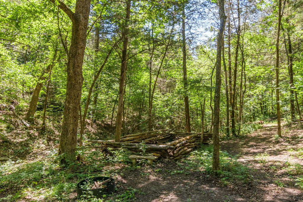 10620 West State Highway 76 Property Photo 73
