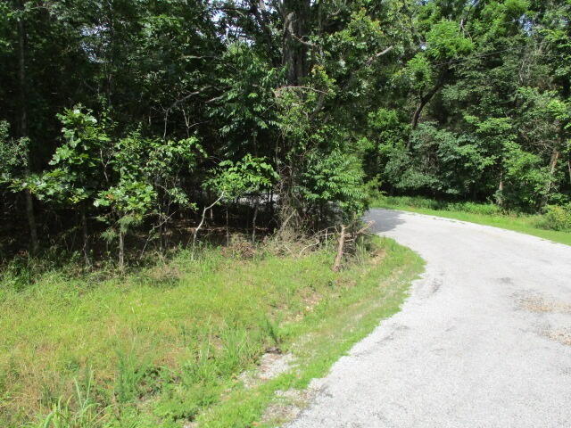 54 Property Photo 1