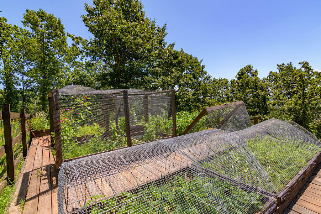 10620 West State Highway 76 Property Photo 21