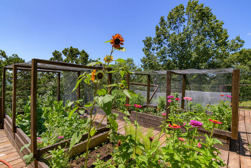 10620 West State Highway 76 Property Photo 22