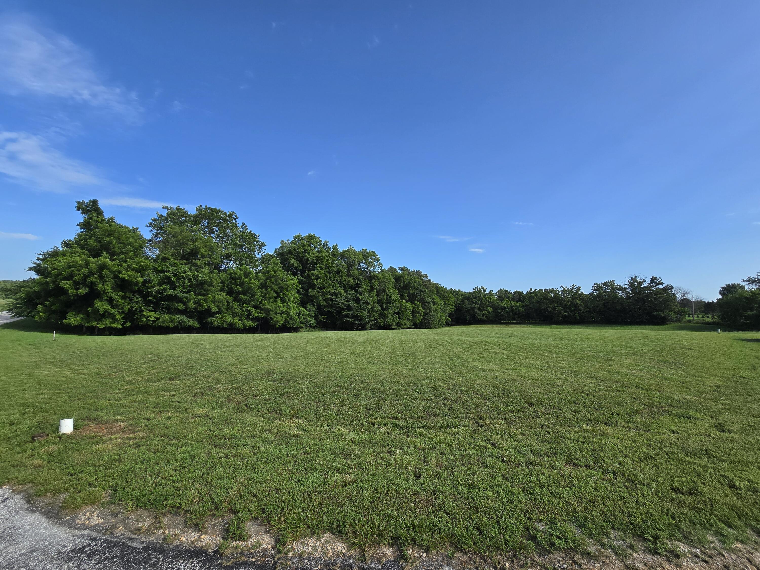 Lot 9 West Big Meadows Lane Property Photo 1