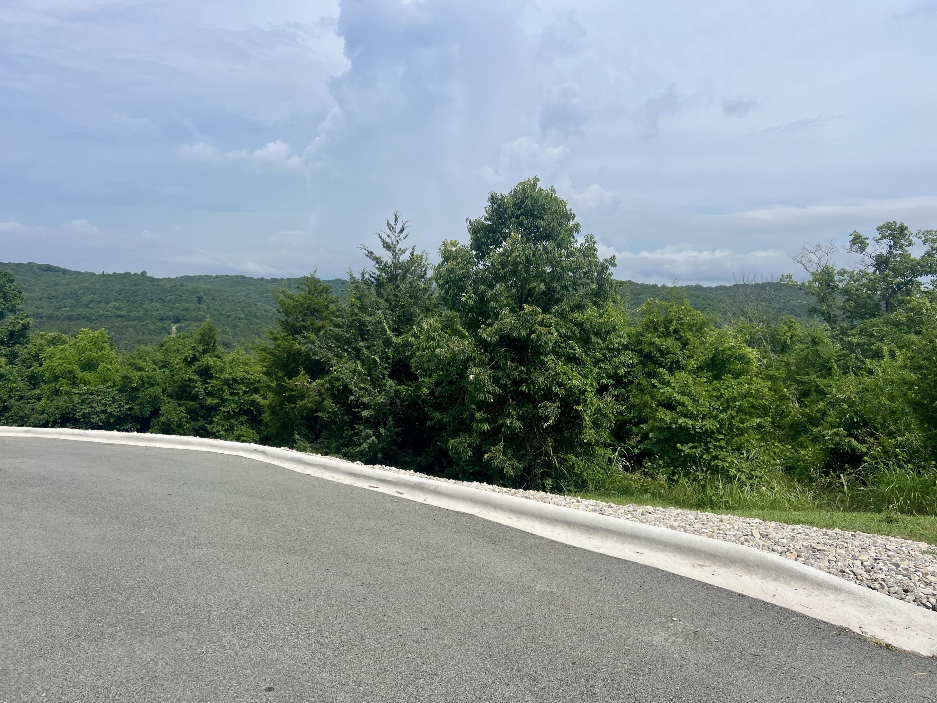 313 Wolf Trail Drive Property Photo 49