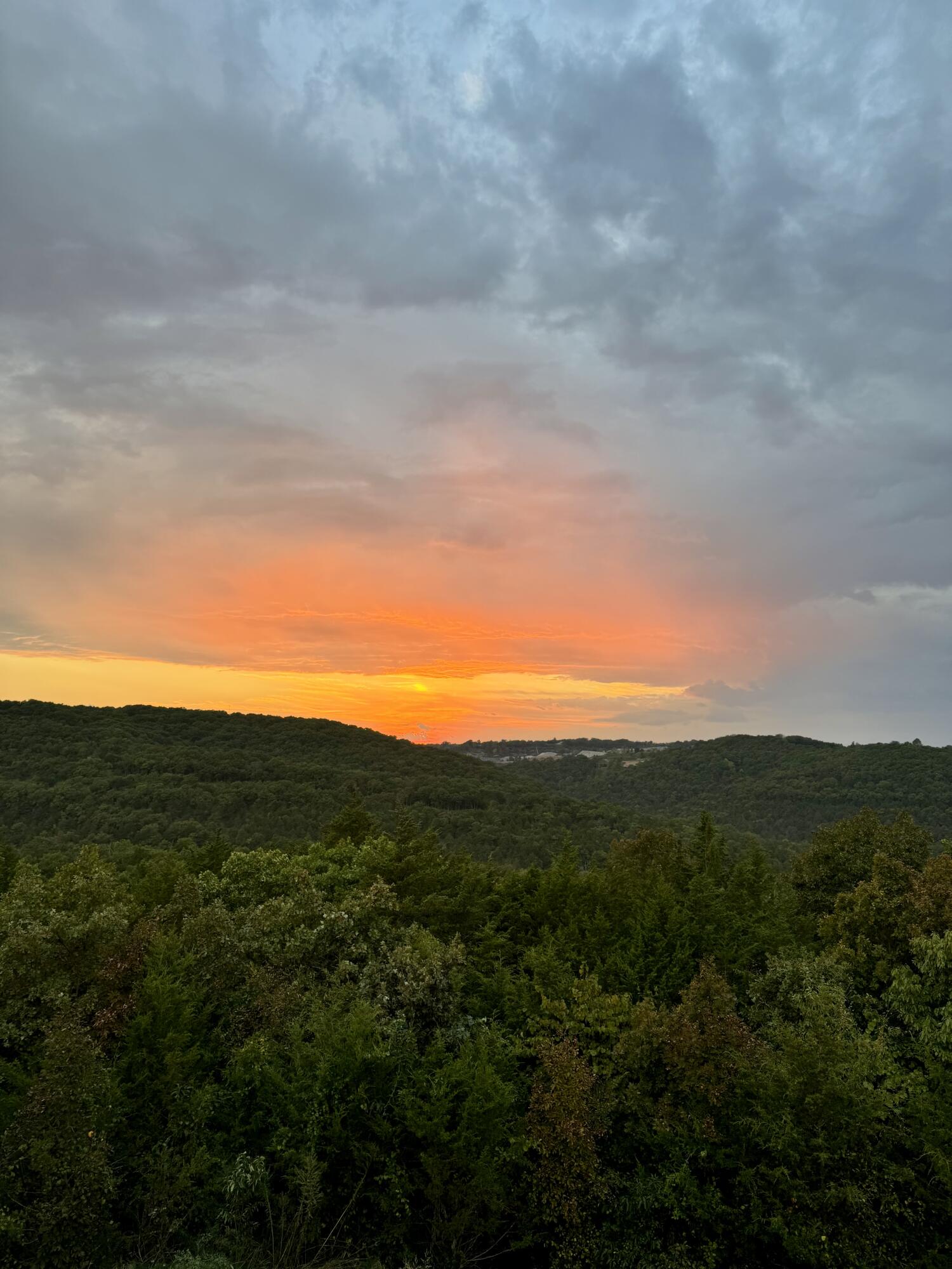 313 Wolf Trail Drive Property Photo 51