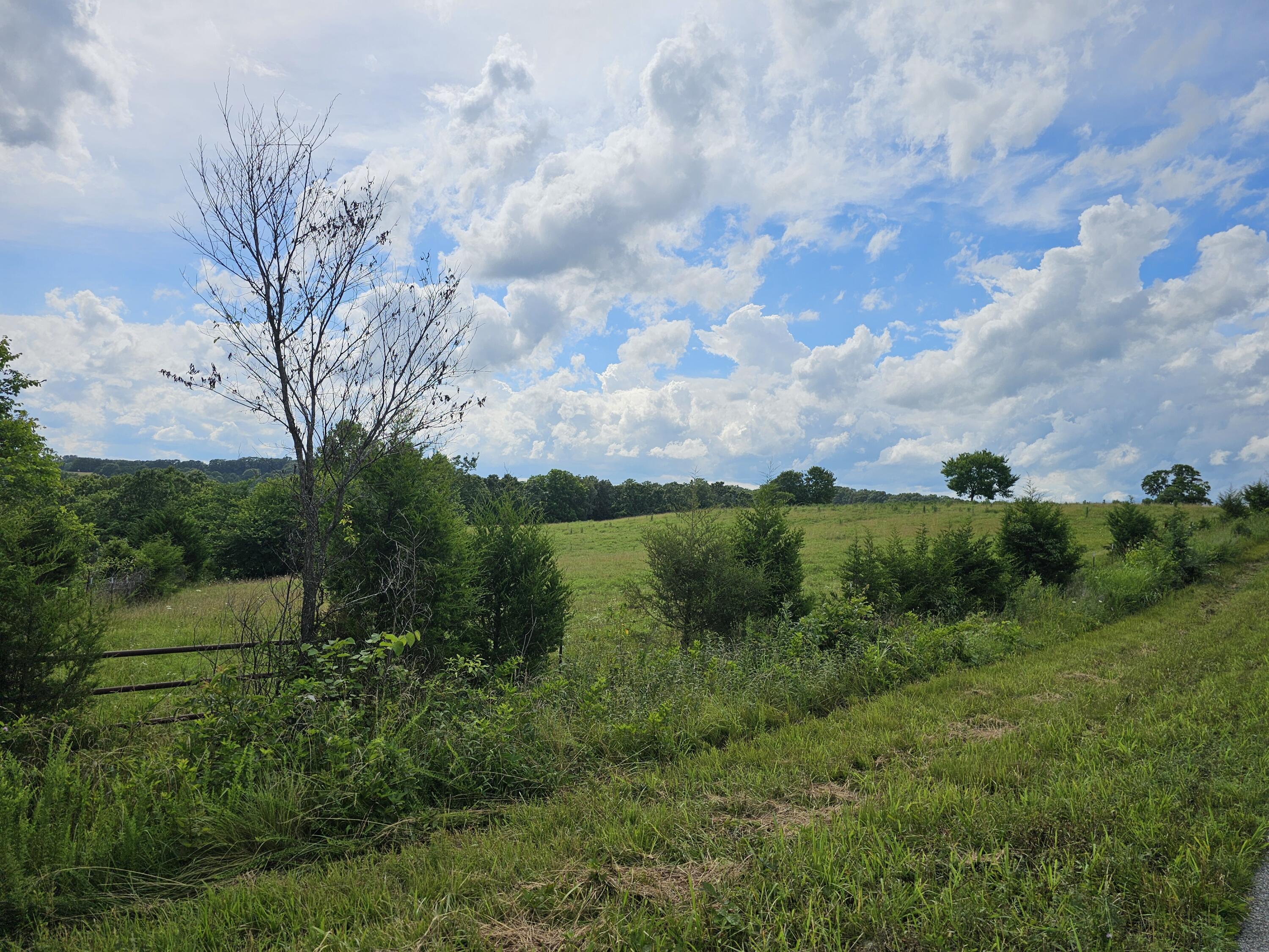 000 State Hwy Jj Property Photo 5