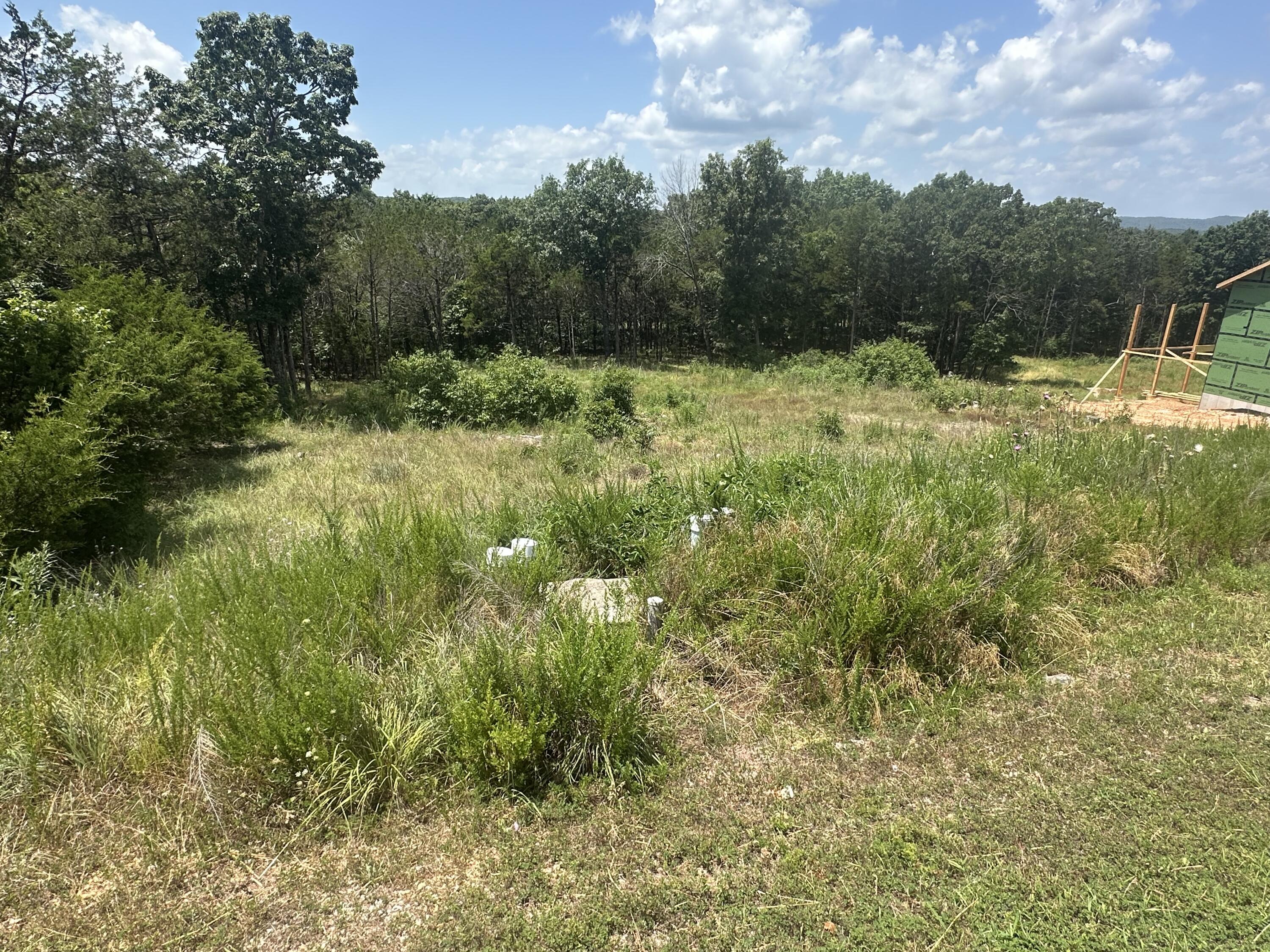181 Silver Sunset Lane Property Photo 6