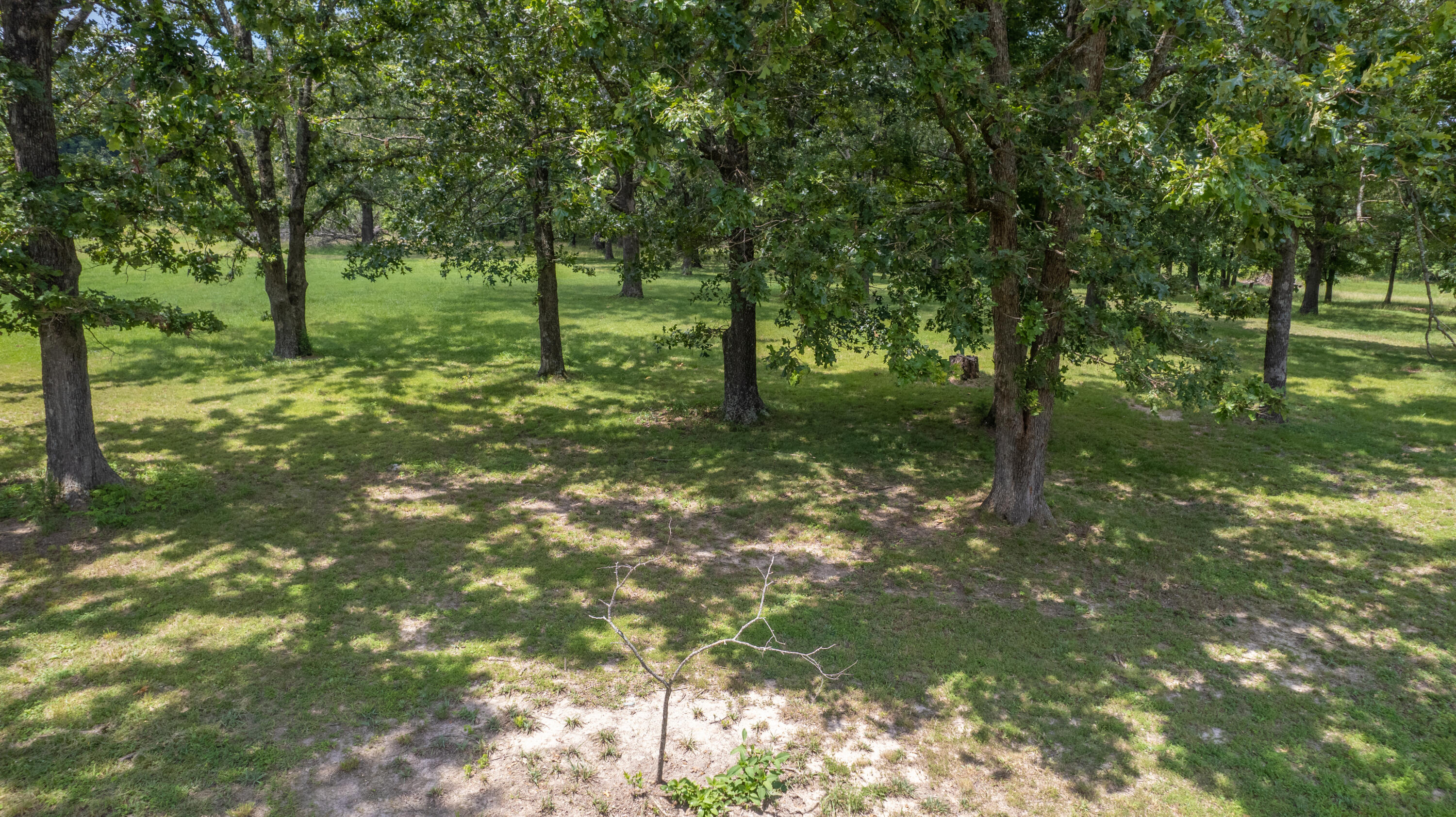 163 Hidden Hollow Drive Property Photo 14