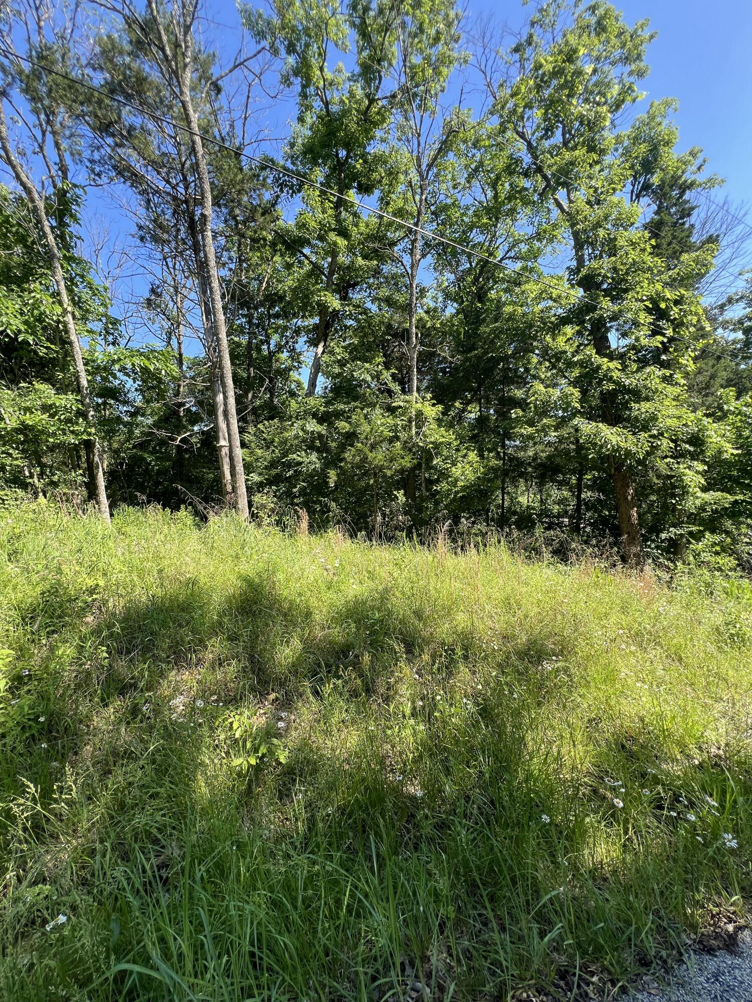 291 Beaver Road Property Photo 3