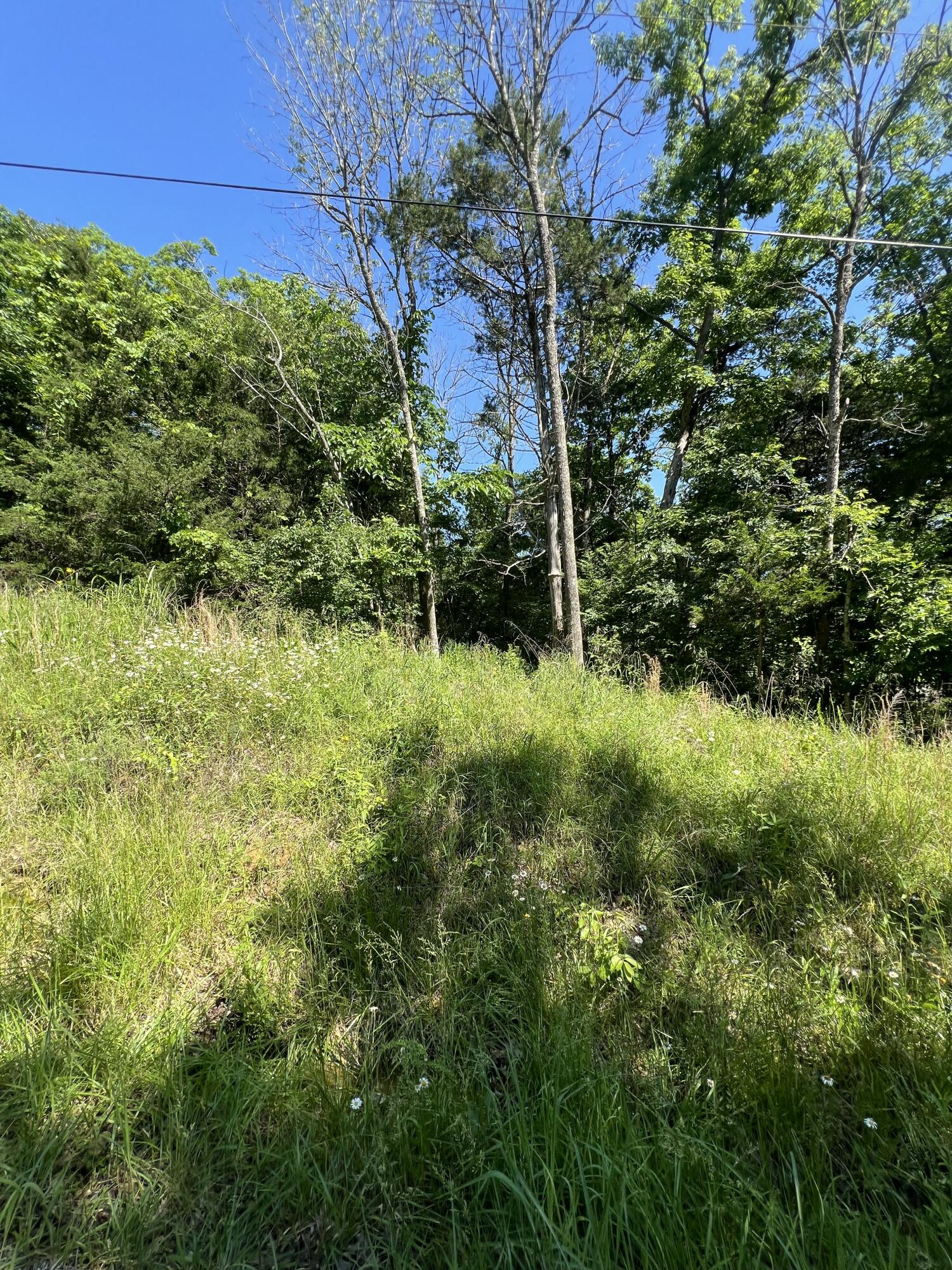 291 Beaver Road Property Photo 5