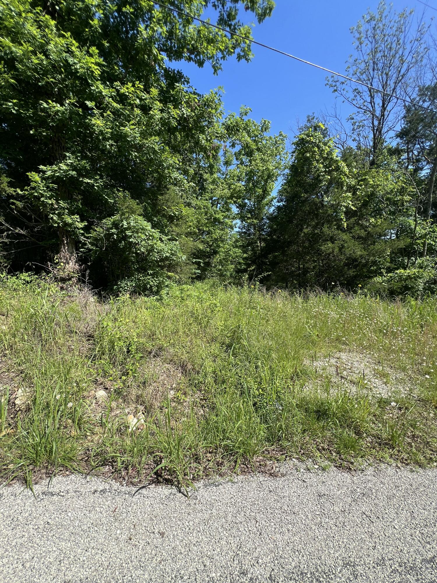 291 Beaver Road Property Photo 9