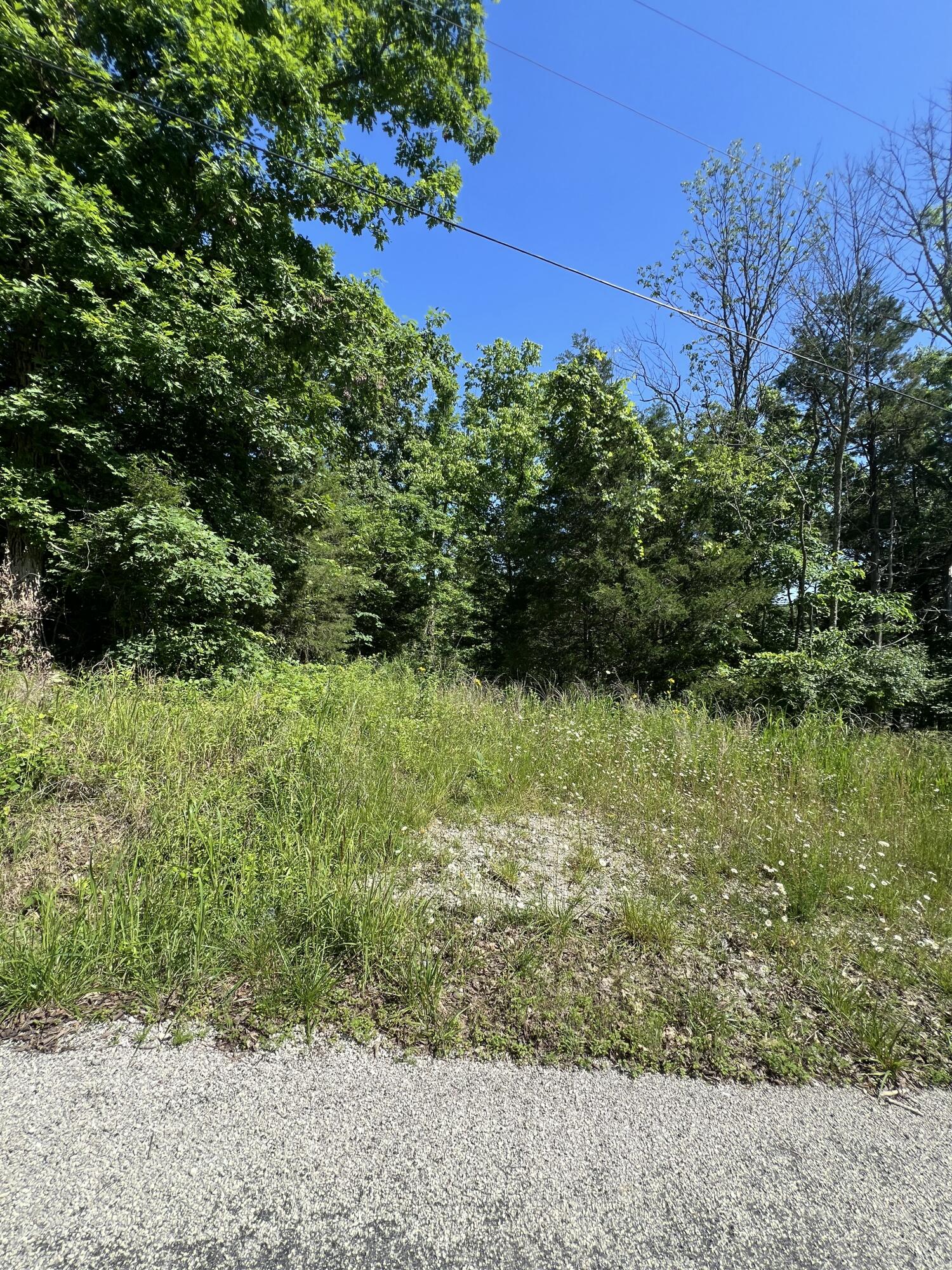 291 Beaver Road Property Photo 10