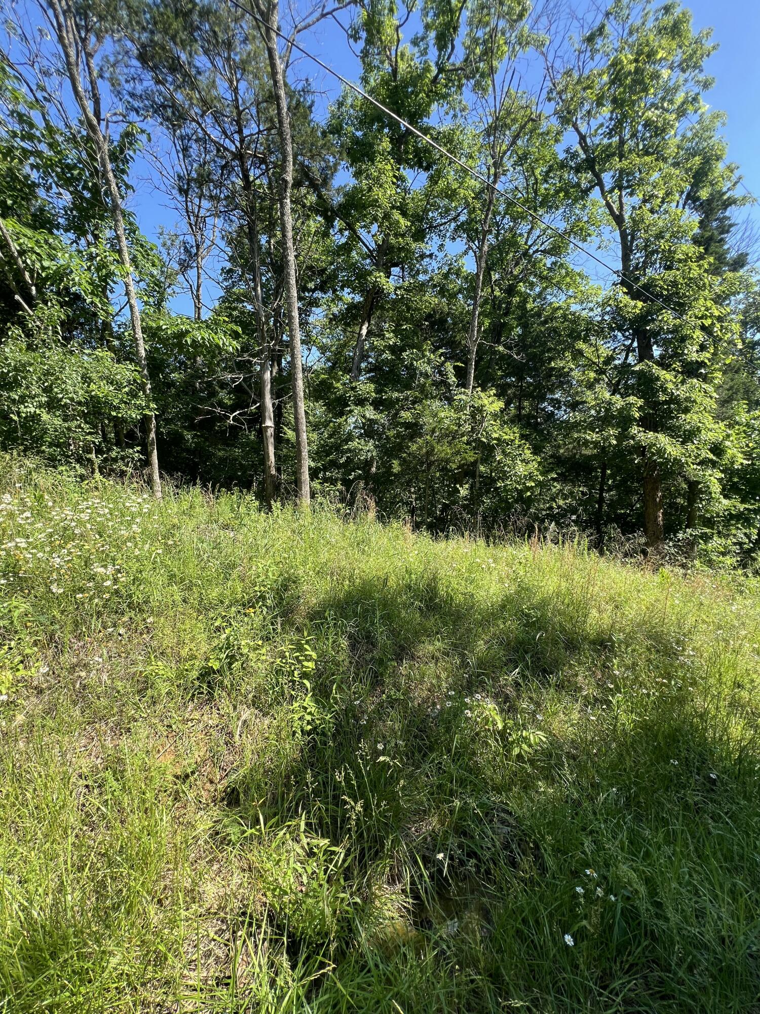 291 Beaver Road Property Photo 13