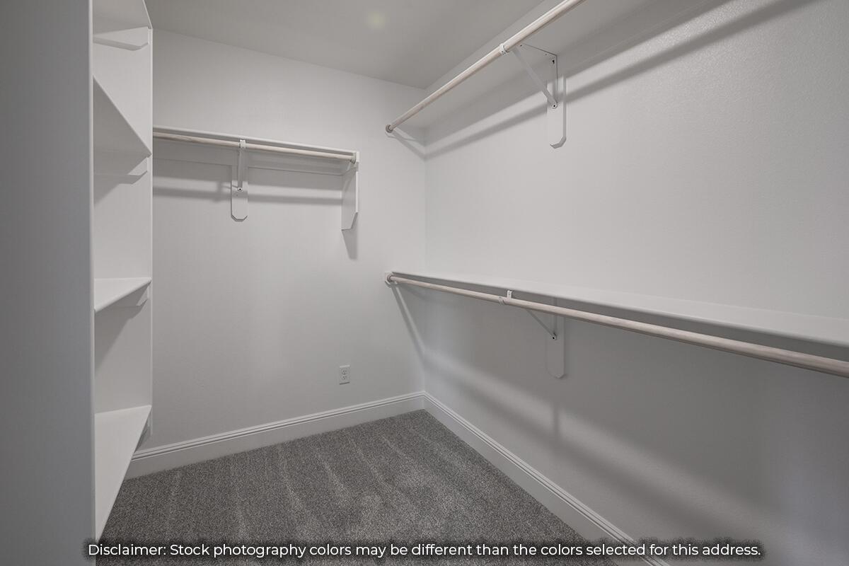 1616 Sedge Street Property Photo 13