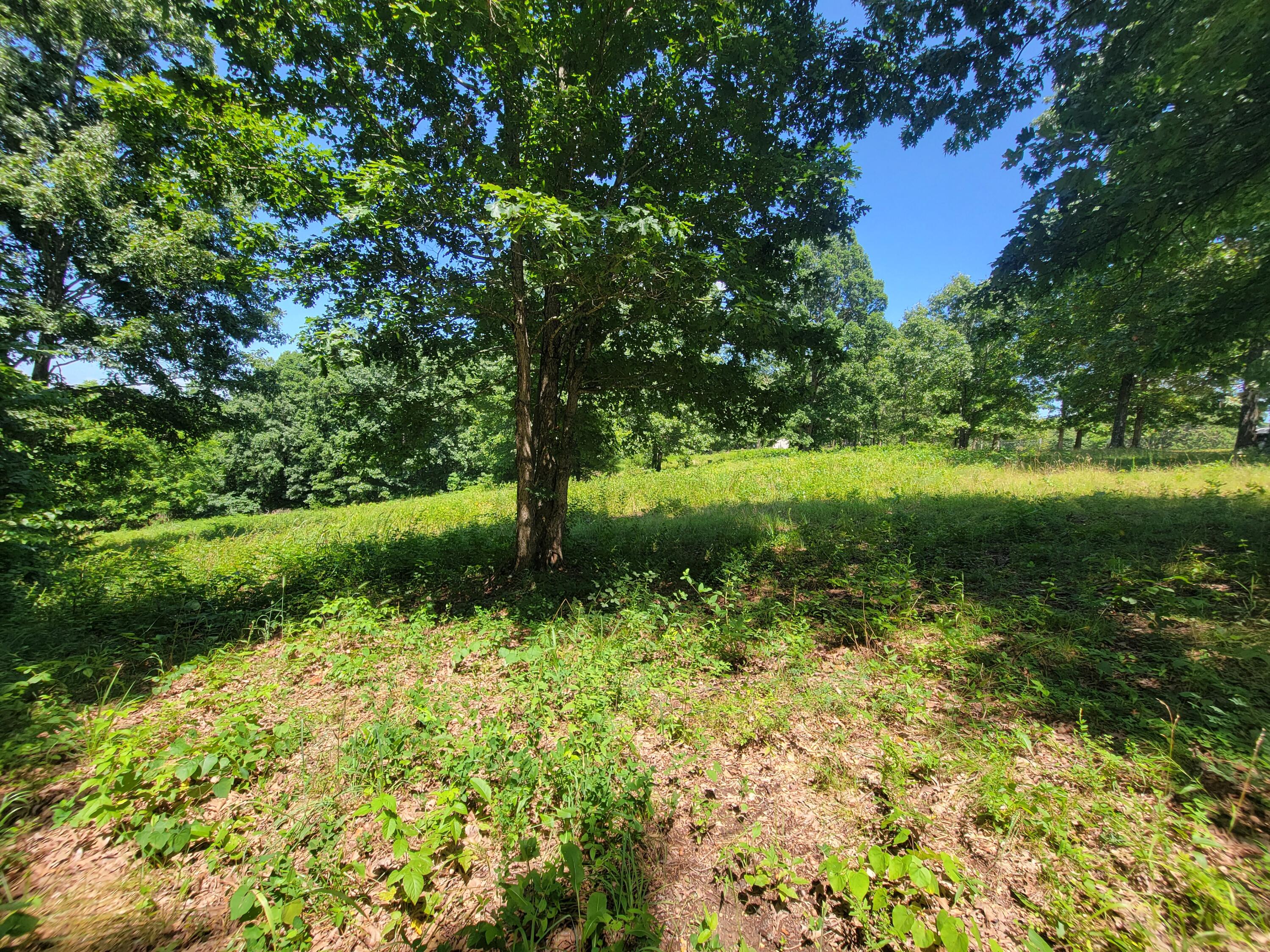 000 Hwy 160 Property Photo 3