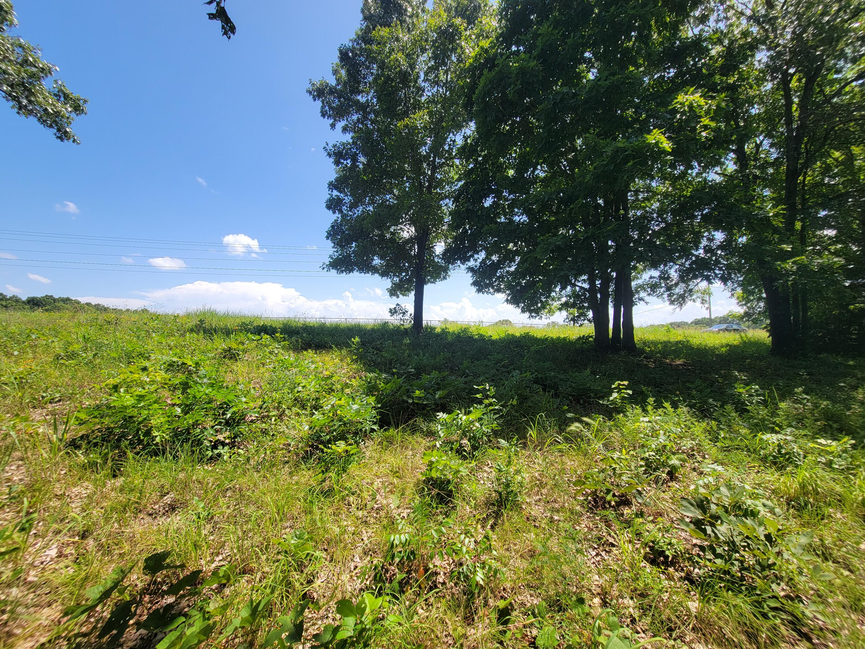000 Hwy 160 Property Photo 4