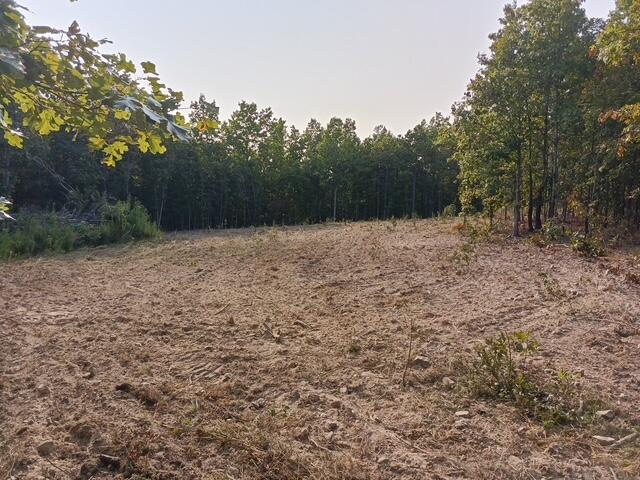 000 Whitacre Run Property Photo 3