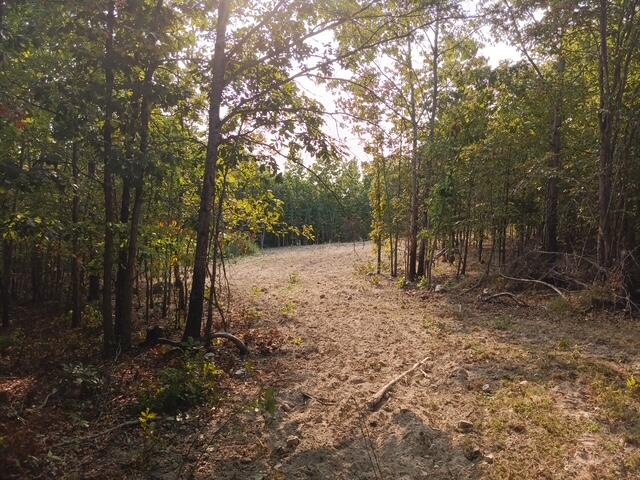 000 Whitacre Run Property Photo 4