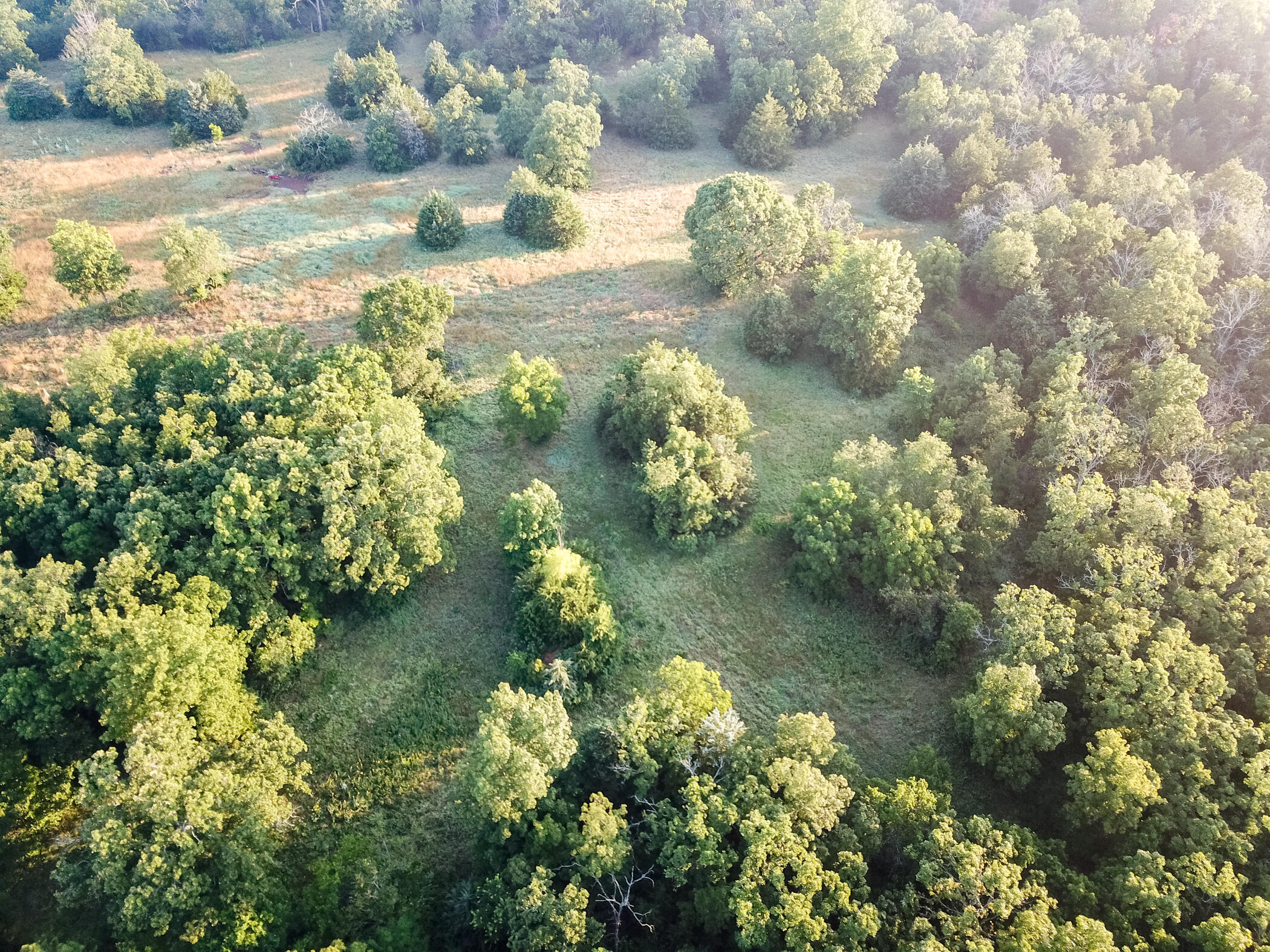 4550 Sw 151 Road Property Photo 4