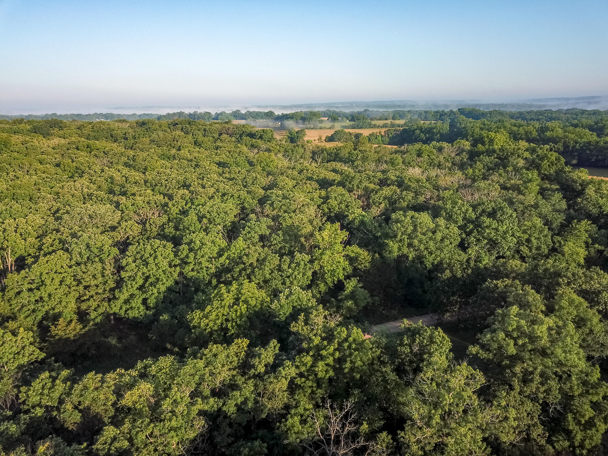 4550 Sw 151 Road Property Photo 14
