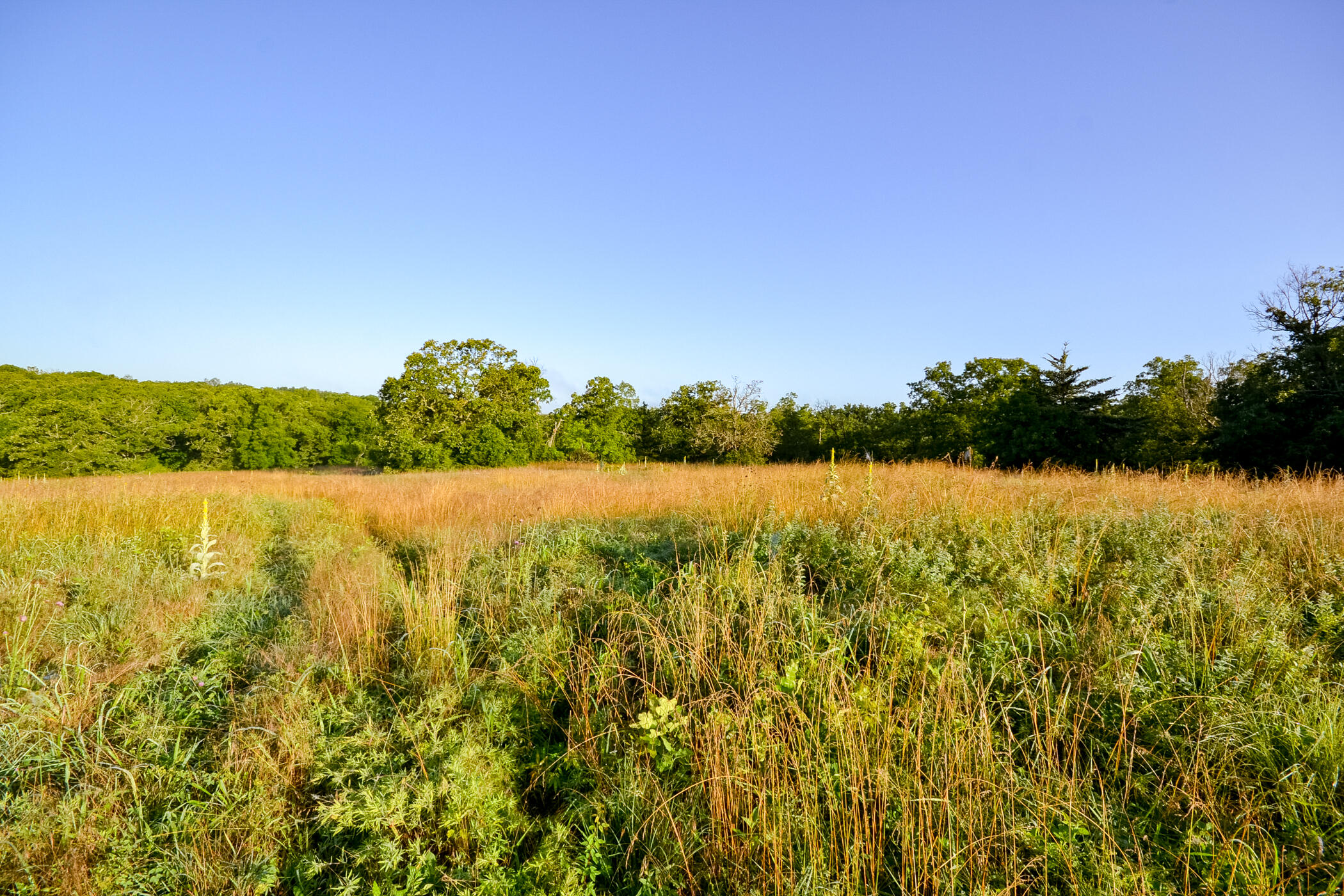 4550 Sw 151 Road Property Photo 17
