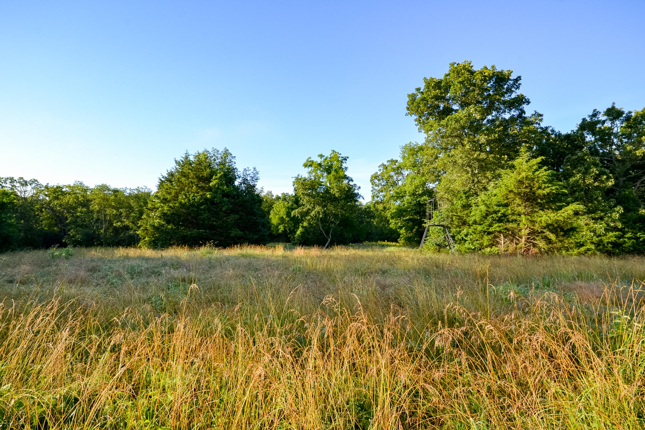 4550 Sw 151 Road Property Photo 20