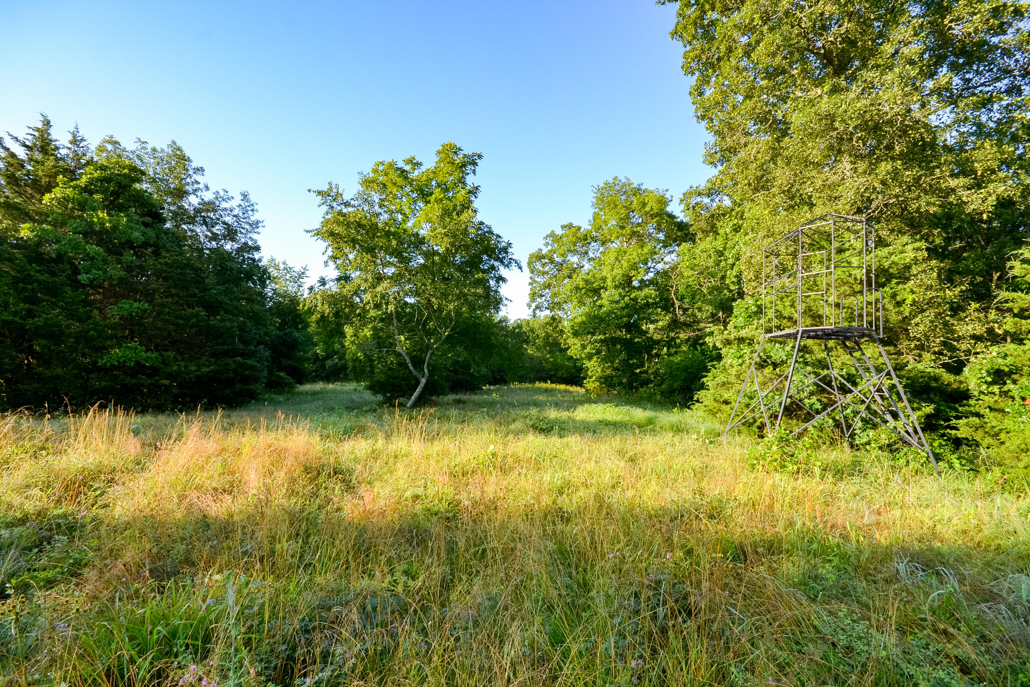 4550 Sw 151 Road Property Photo 21