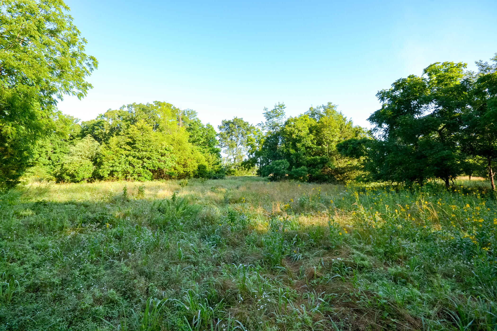 4550 Sw 151 Road Property Photo 23