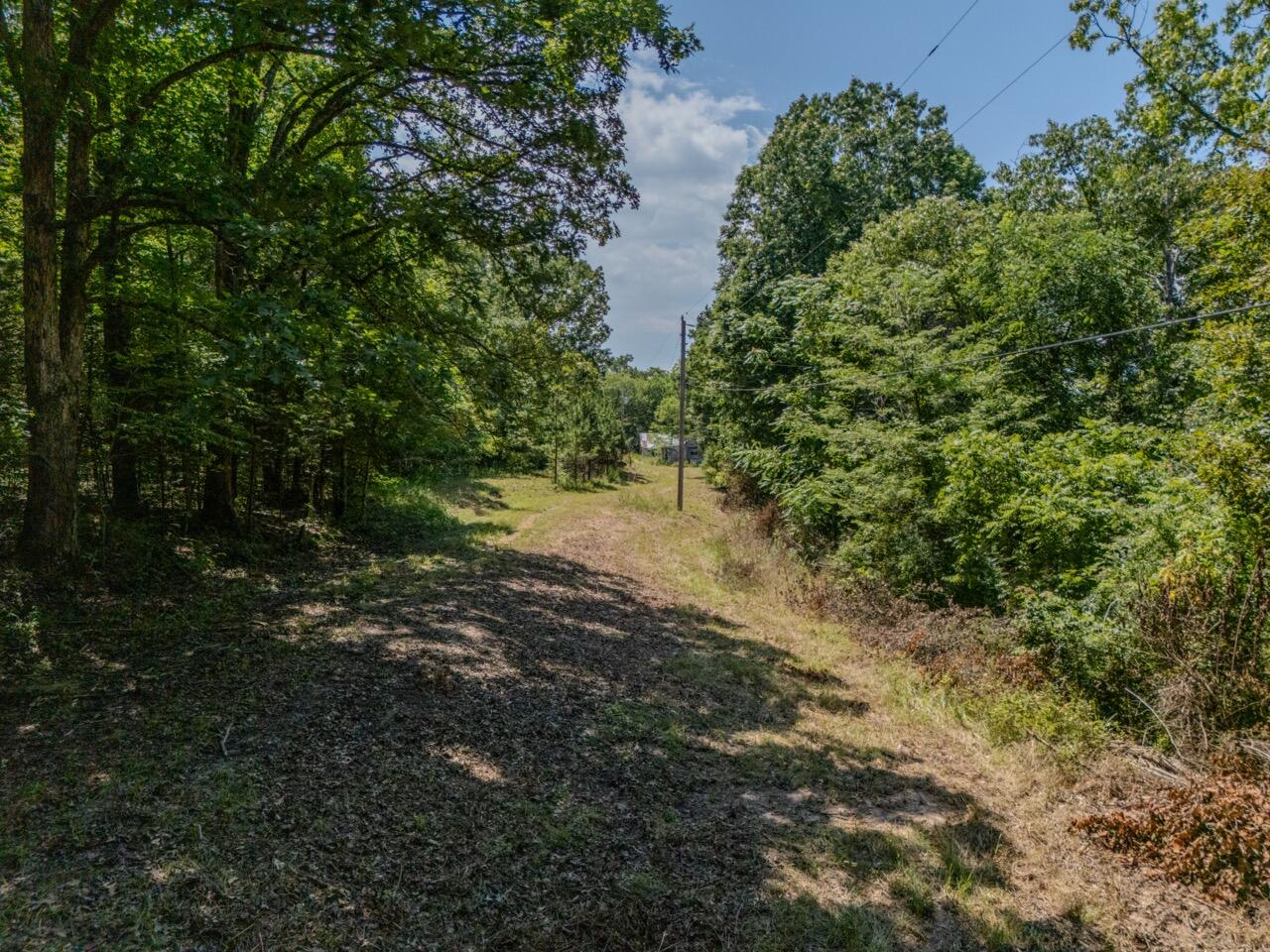 Tbd County Road 867 Property Photo 2