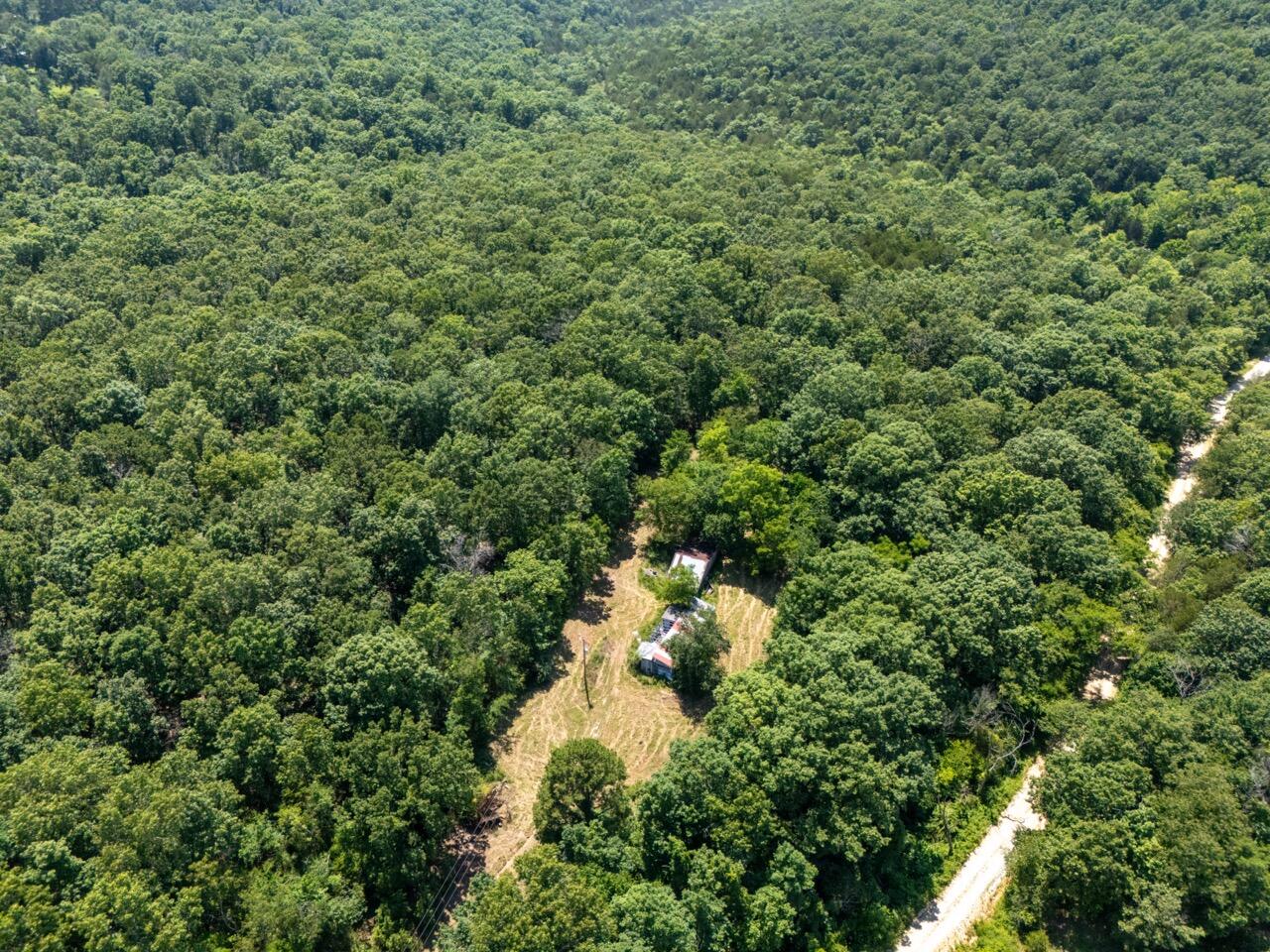Tbd County Road 867 Property Photo 4