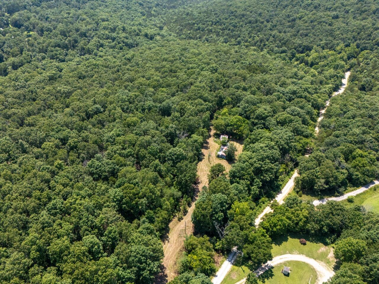 Tbd County Road 867 Property Photo 6