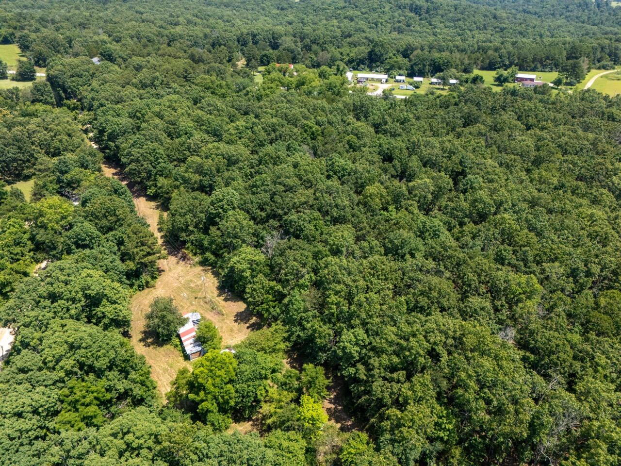 Tbd County Road 867 Property Photo 10