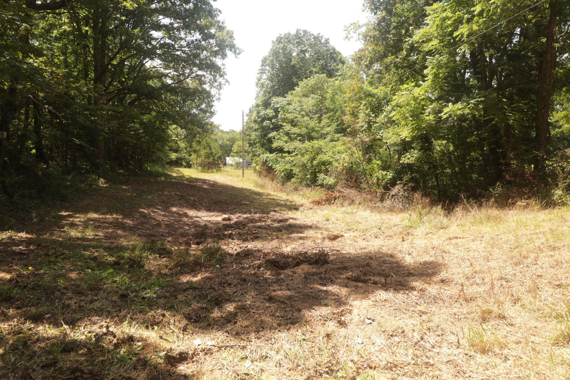 Tbd County Road 867 Property Photo 18