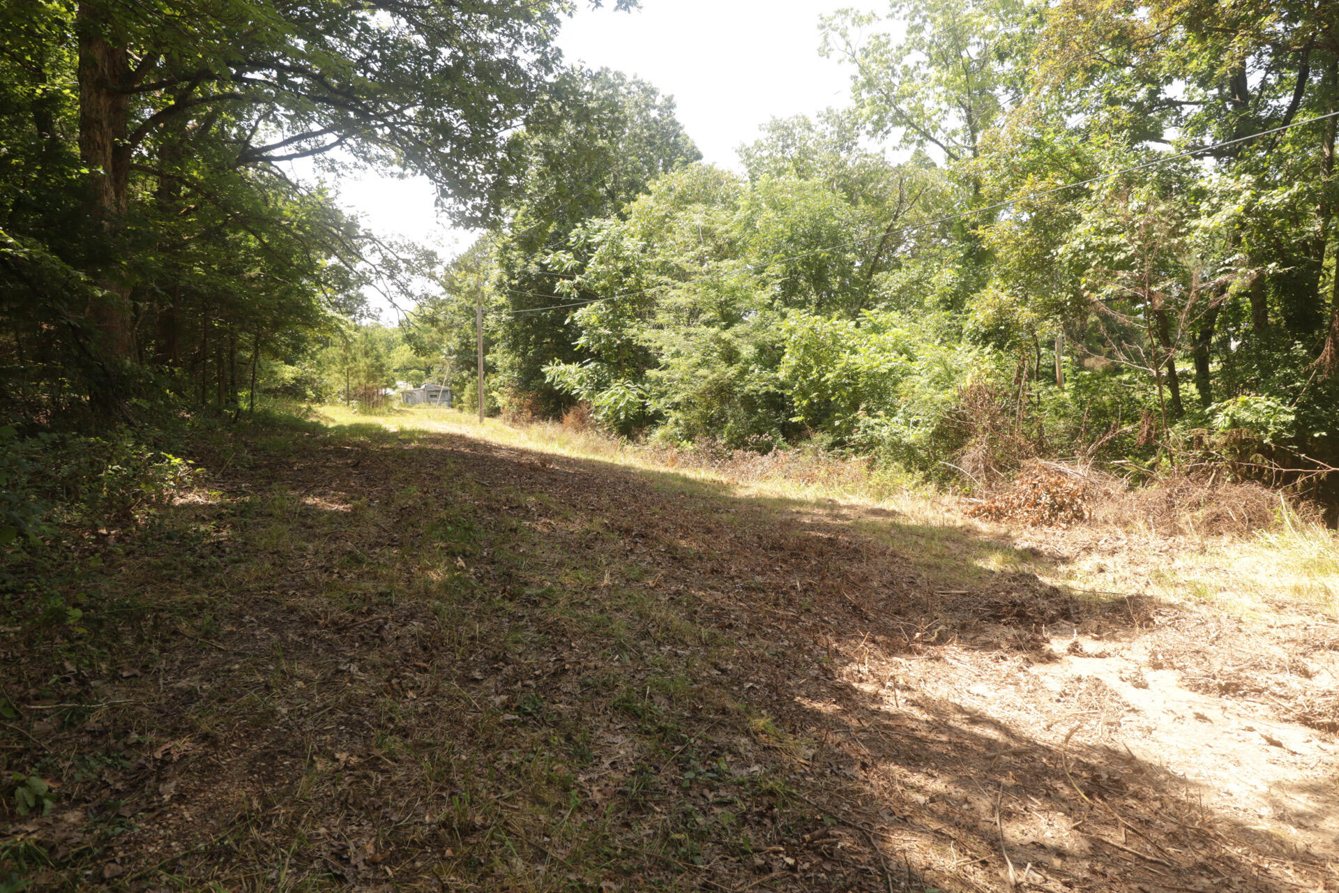 Tbd County Road 867 Property Photo 21