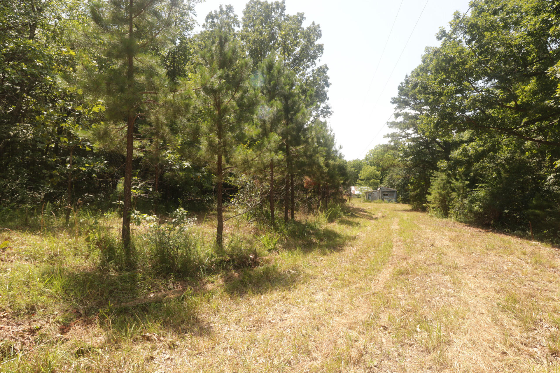 Tbd County Road 867 Property Photo 22