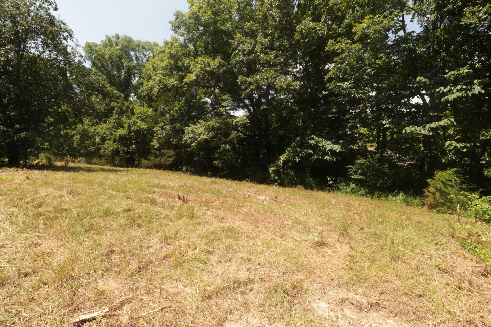Tbd County Road 867 Property Photo 23