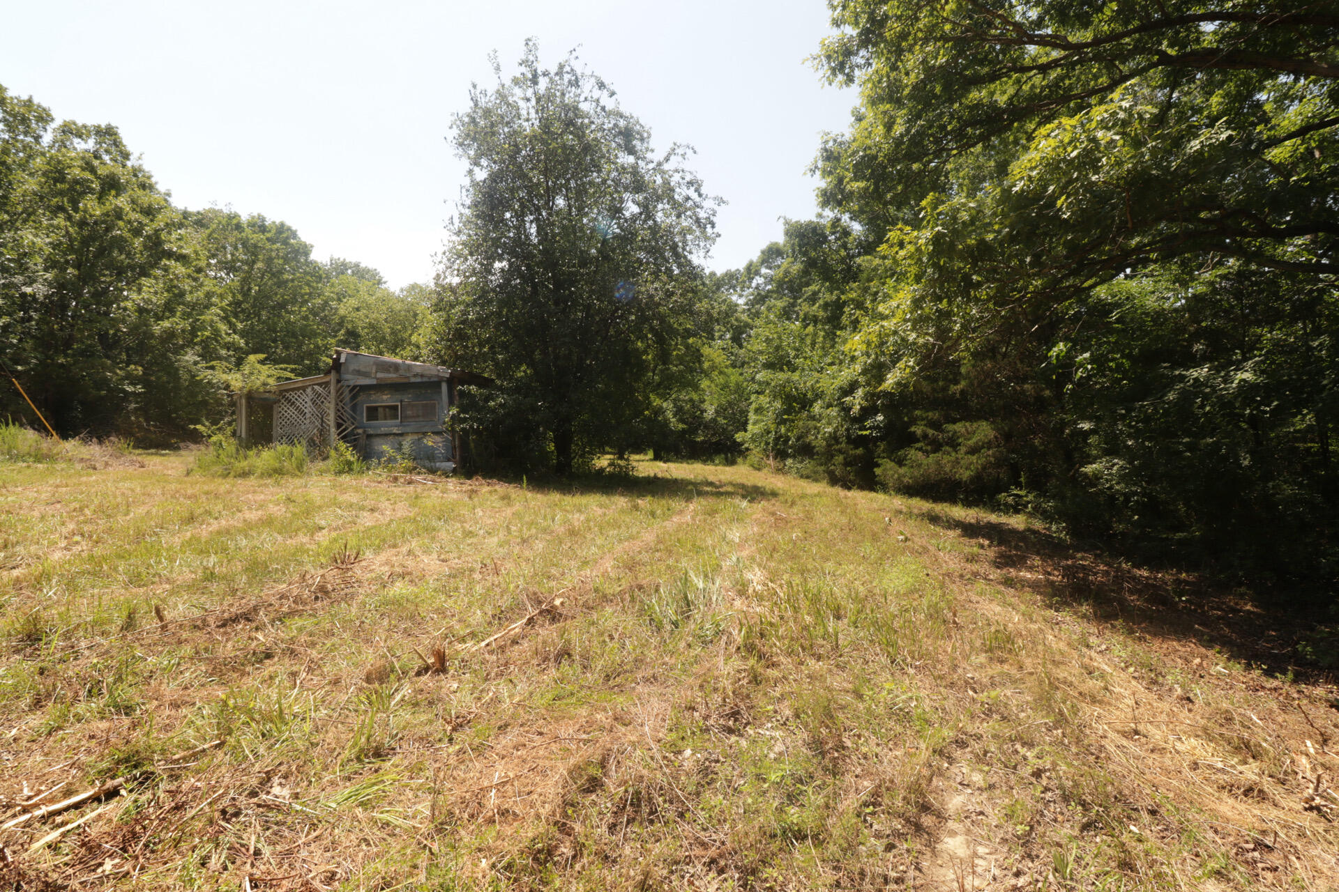 Tbd County Road 867 Property Photo 26