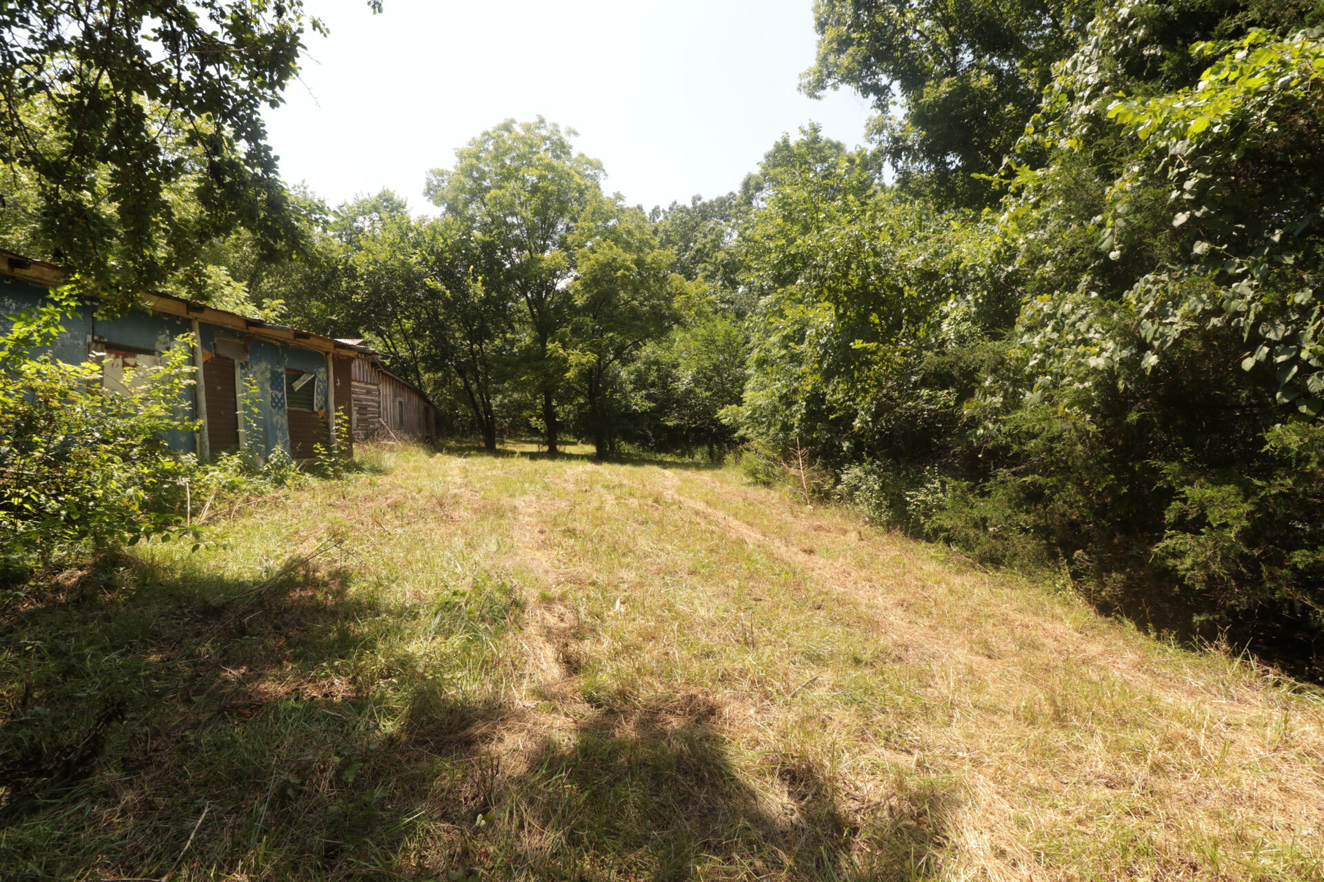 Tbd County Road 867 Property Photo 27