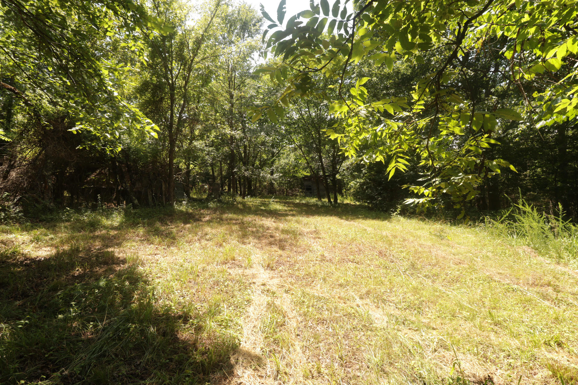 Tbd County Road 867 Property Photo 30
