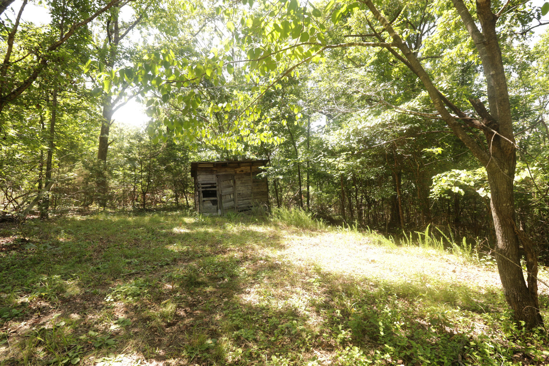 Tbd County Road 867 Property Photo 33