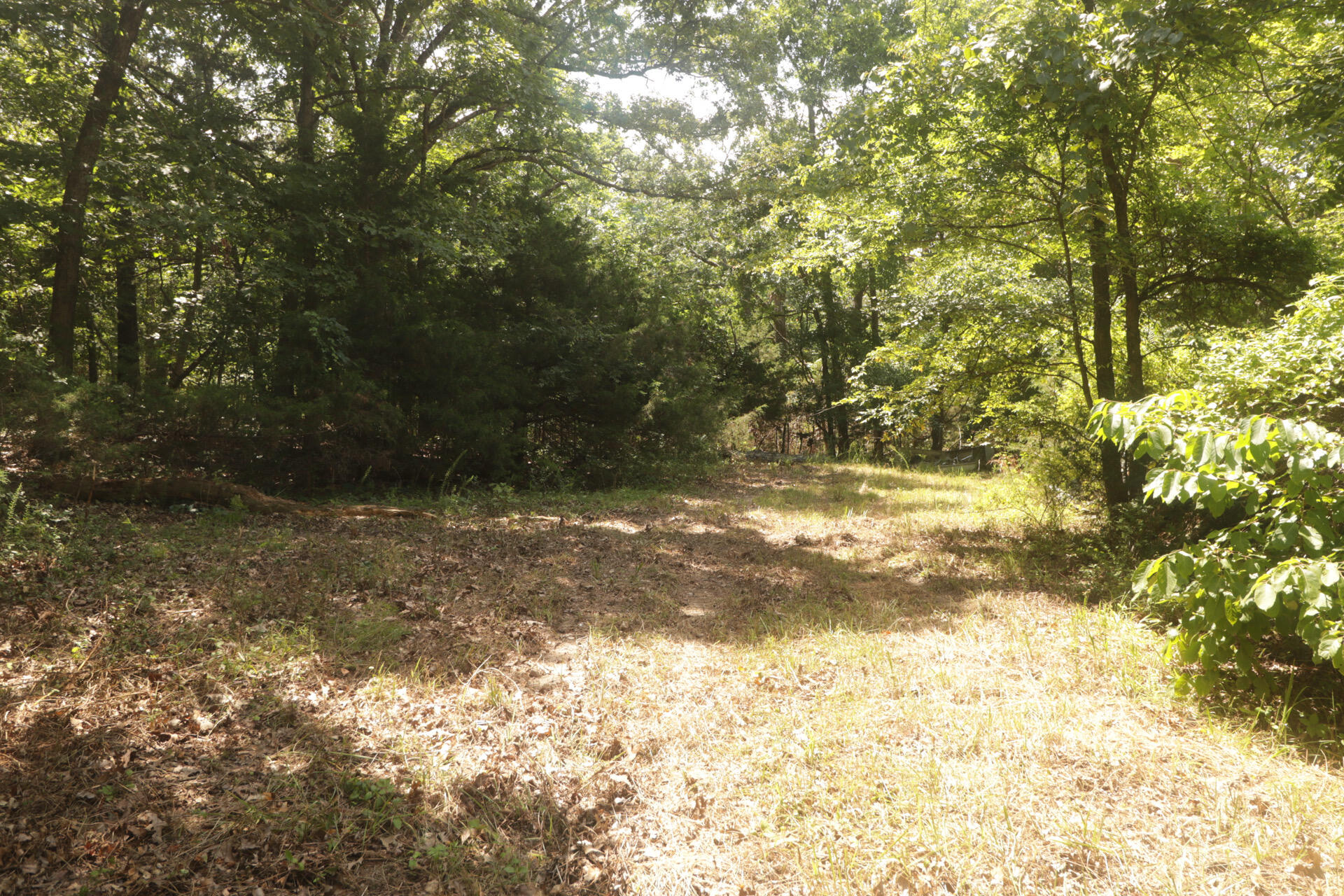 Tbd County Road 867 Property Photo 35