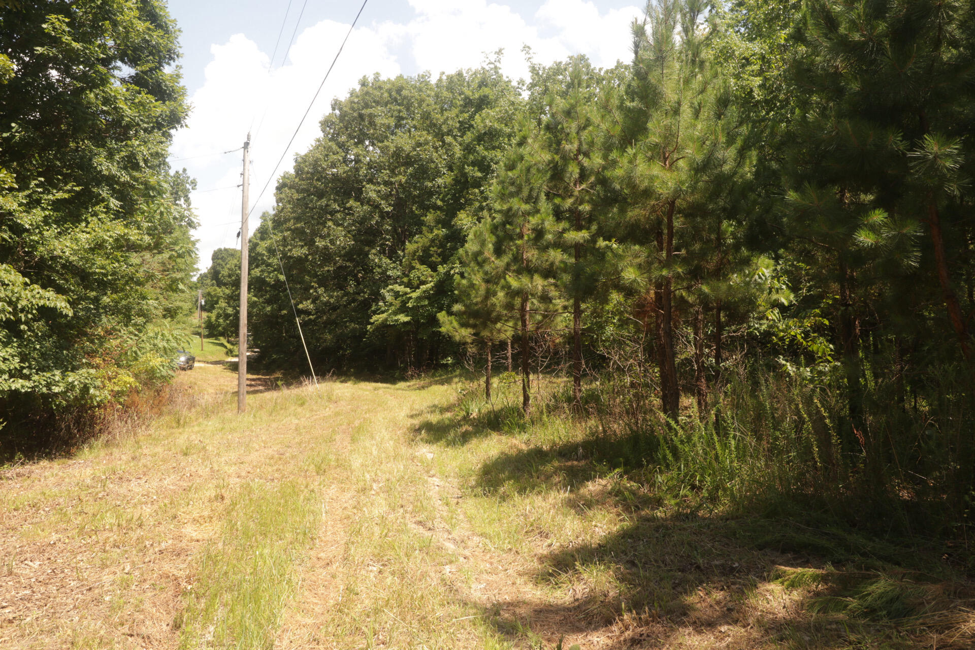 Tbd County Road 867 Property Photo 50