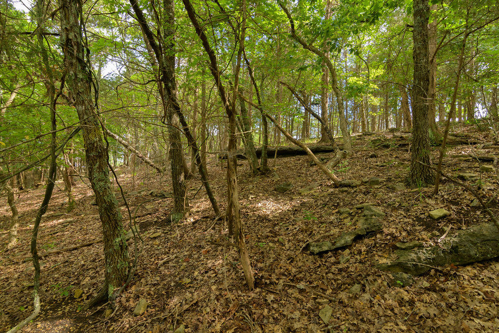 2028 Indian Point Road Property Photo 16