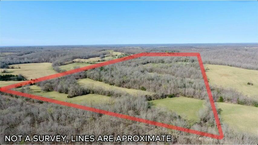 1380 County Road 219 Property Photo 2