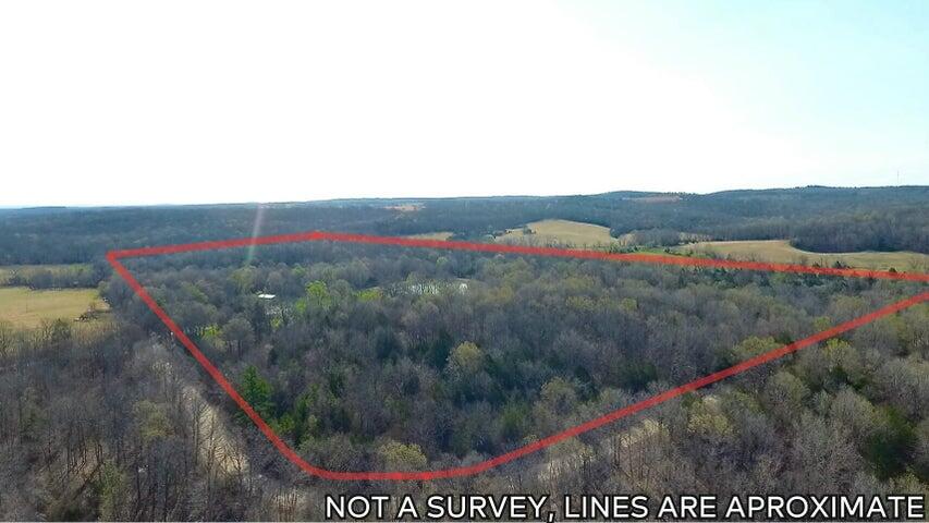 1380 County Road 219 Property Photo 35