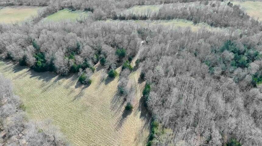 1380 County Road 219 Property Photo 37