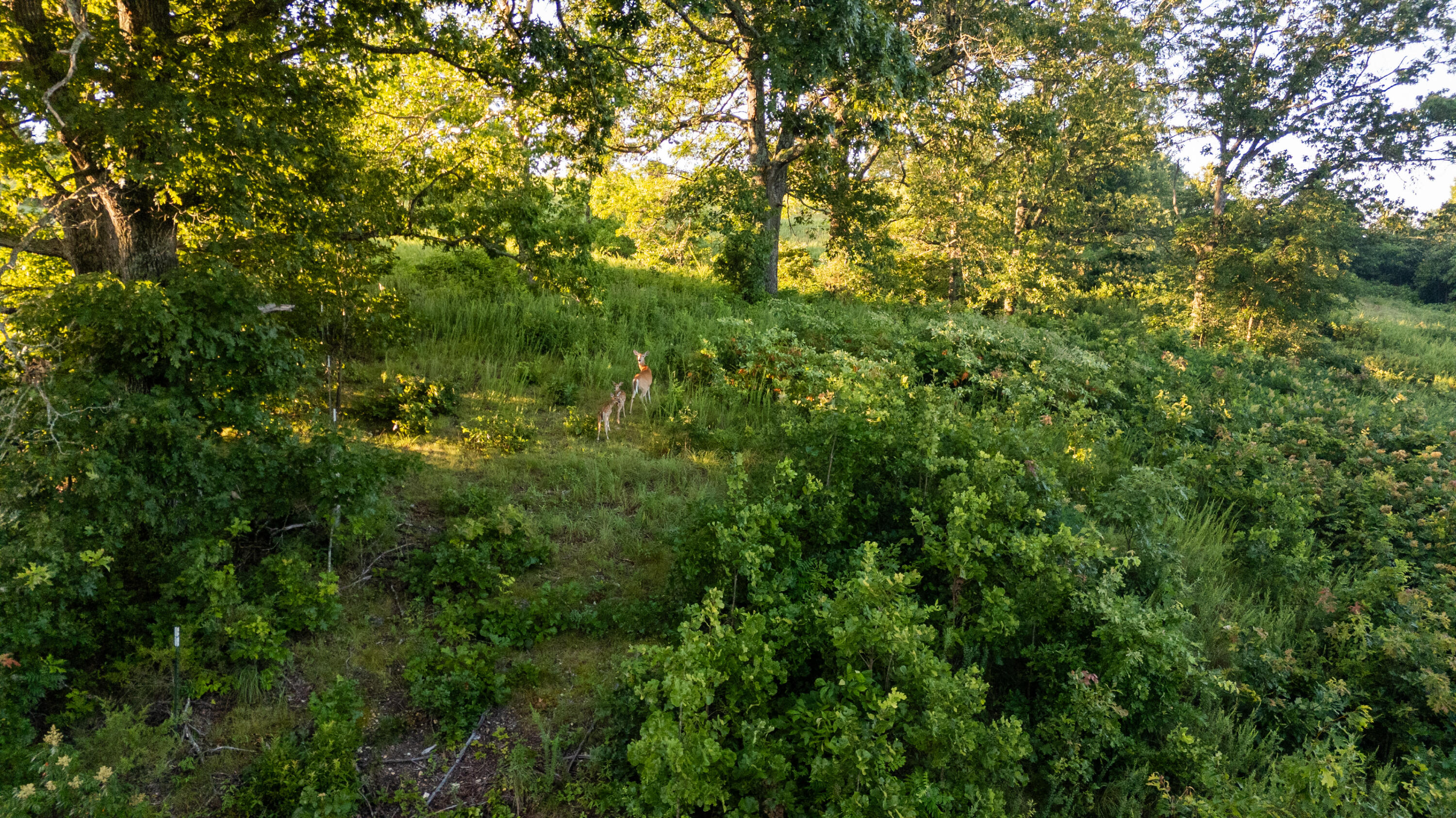 000 Jasper Rd Property Photo 11