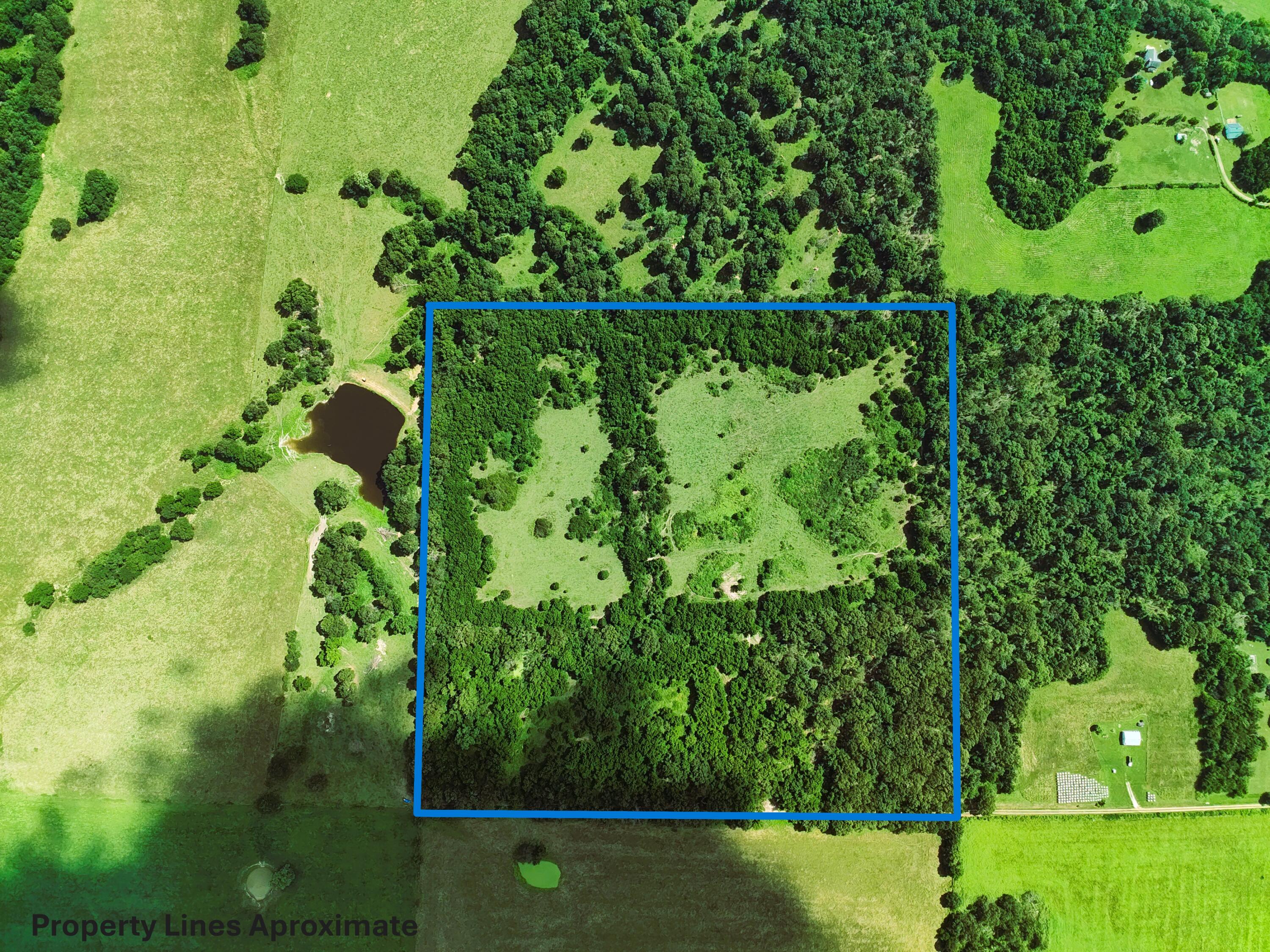 000 Oliver Ln Property Photo 5