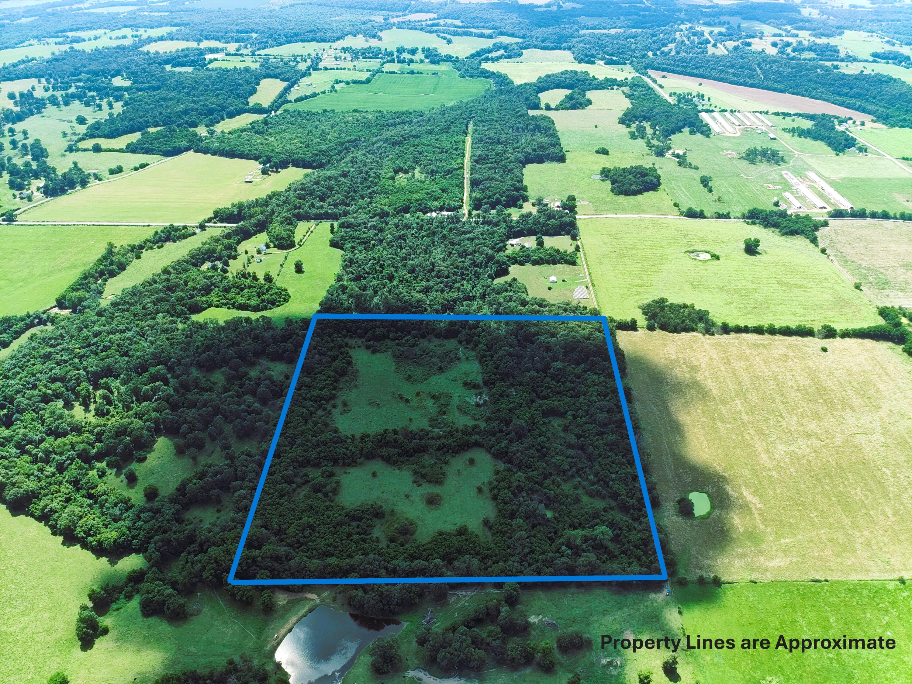 000 Oliver Ln Property Photo 6