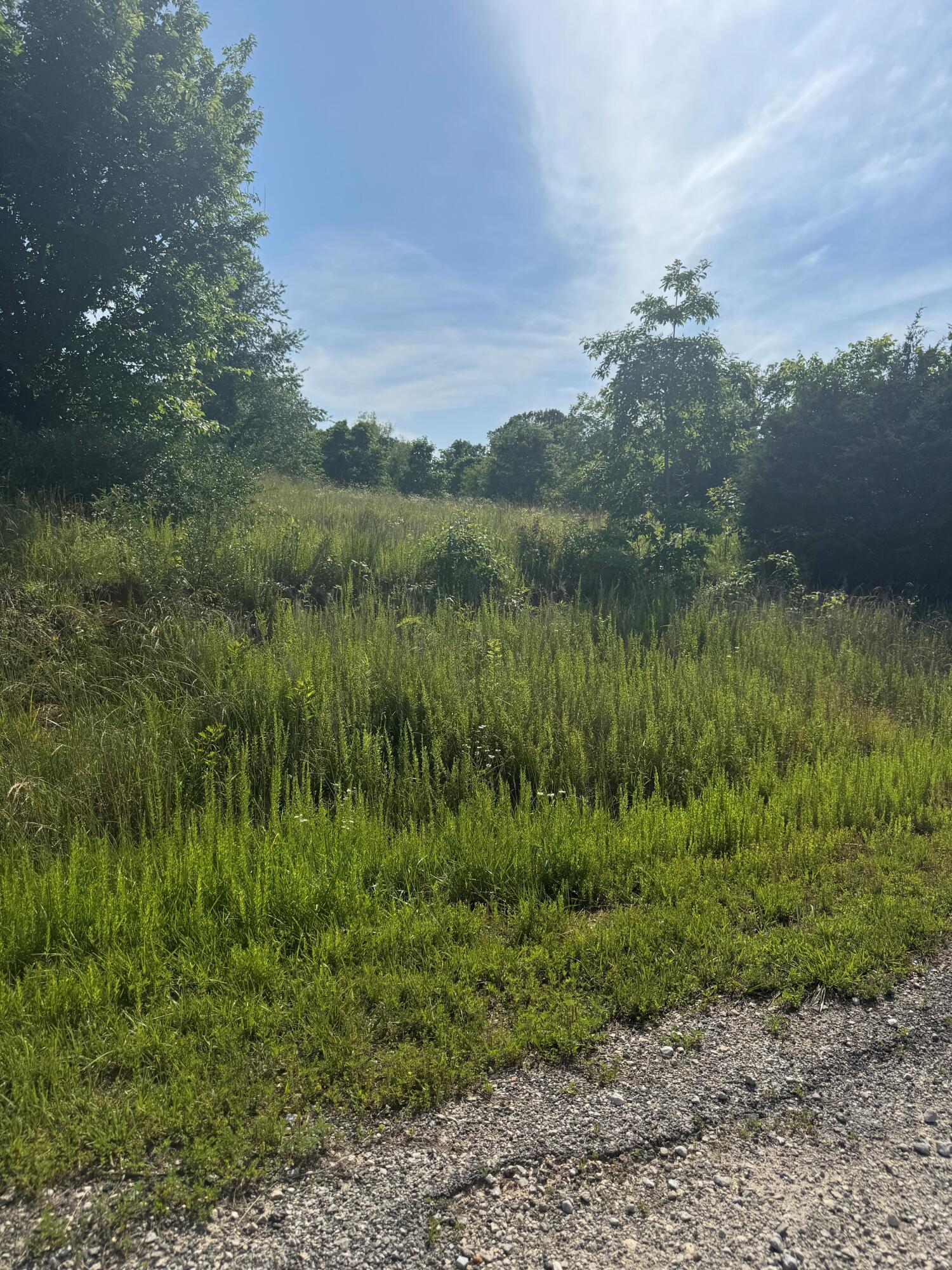 Tbd Lot 24 Blockade Village North Property Photo 3