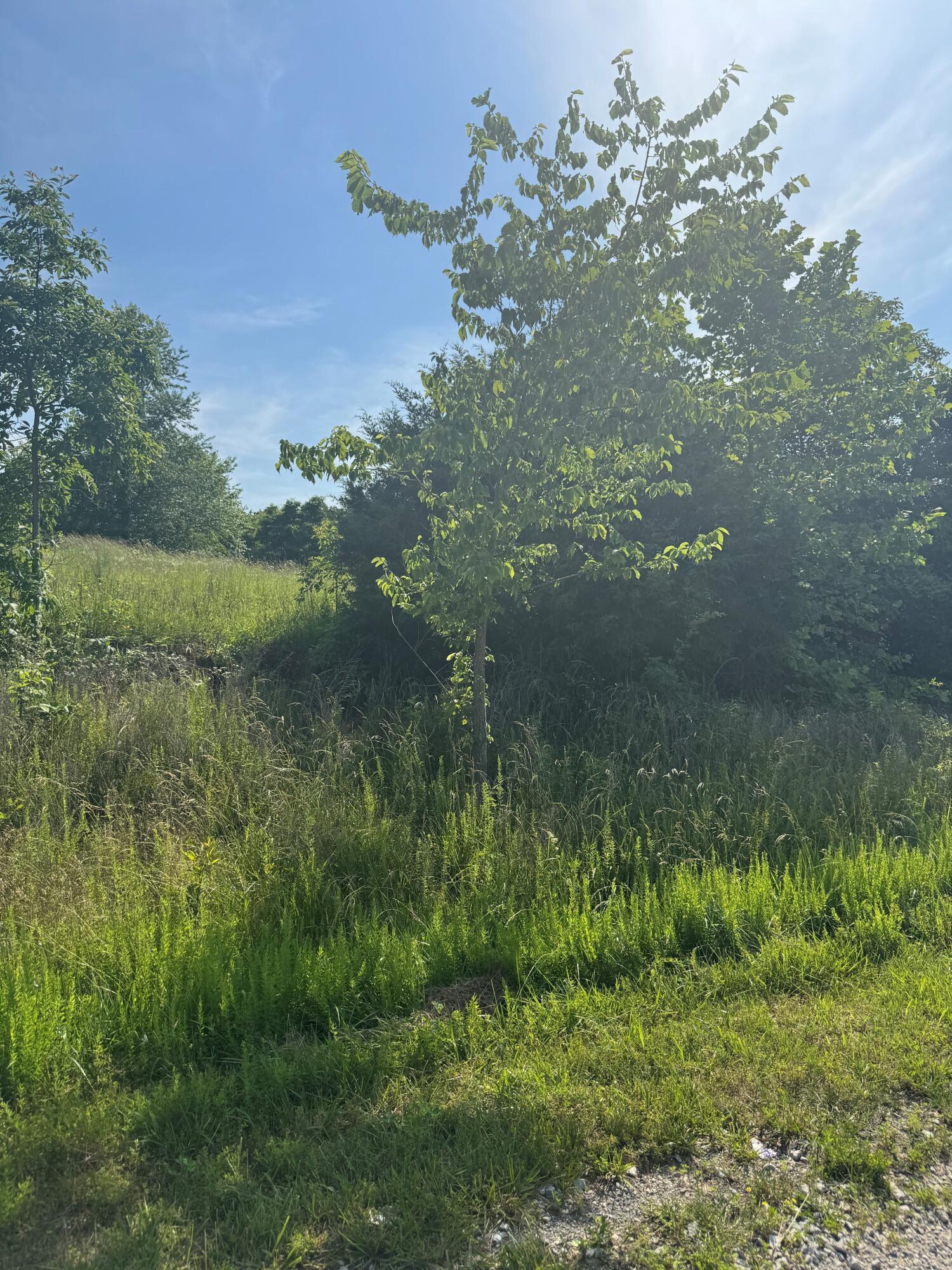 Tbd Lot 24 Blockade Village North Property Photo 4